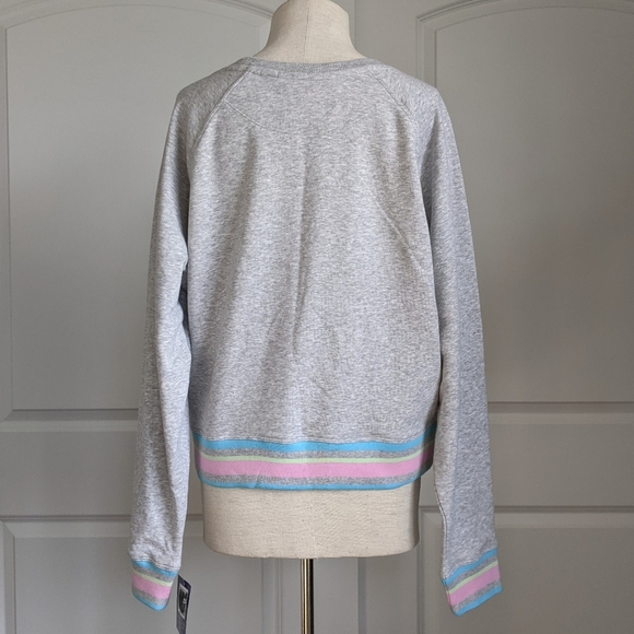 Champion Sweatshirt Rainbow Logo French Terry Crew Raglan Sleeves Grey L NWT - Picture 10 of 15